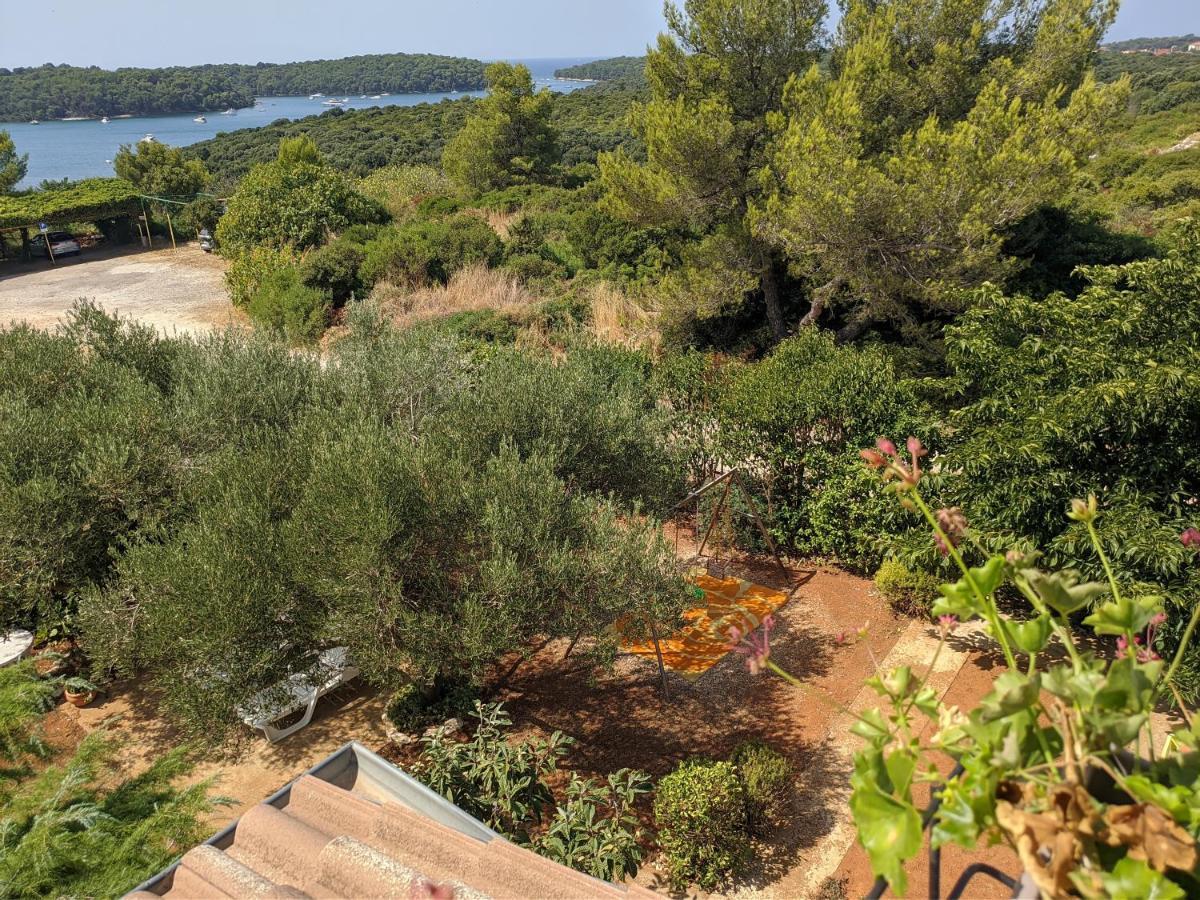 Triton Guest house Vinkuran
